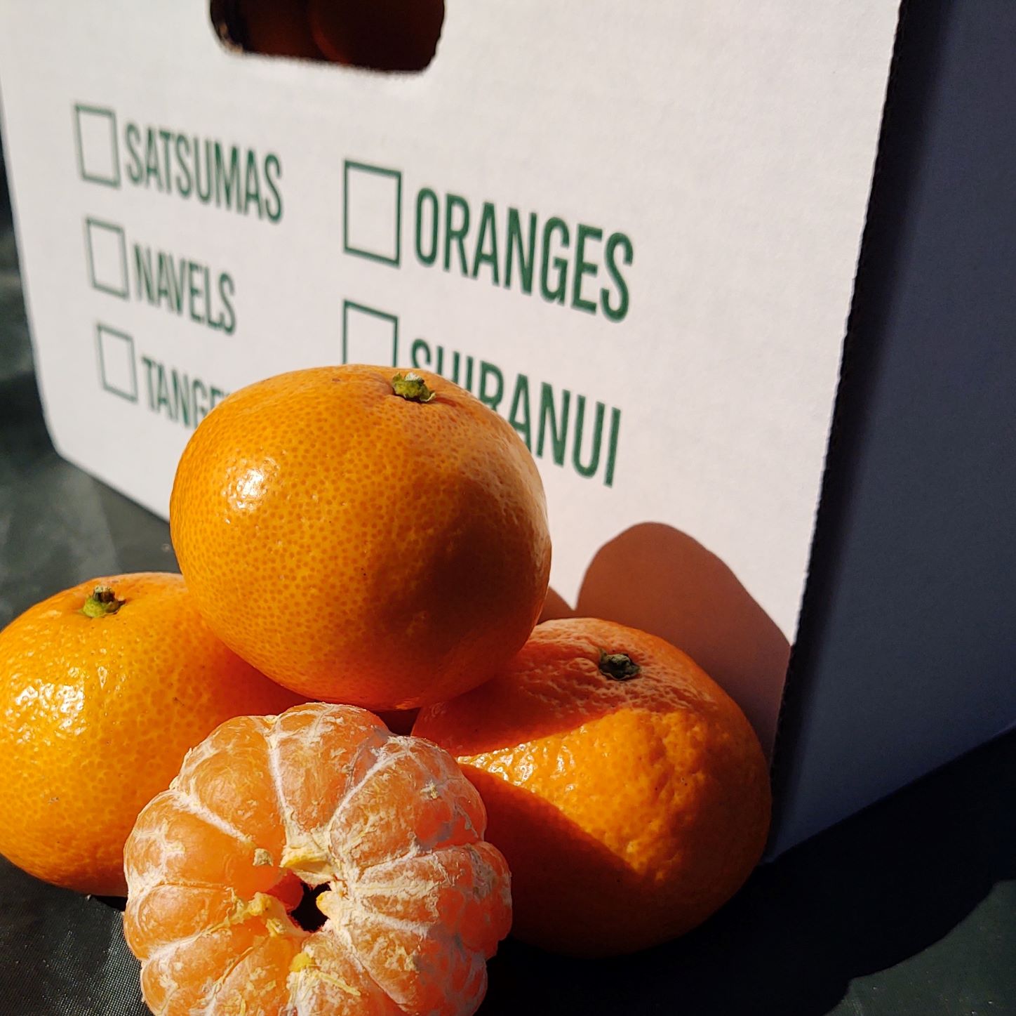 HOLIDAY ROAD TRIP Peach Truck