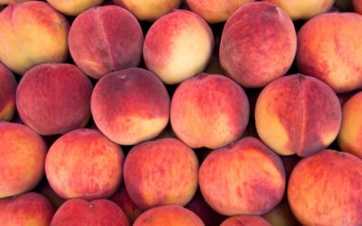 Pre-Order Peaches: Now Available!