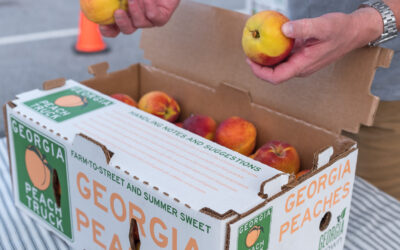 What to Do with a Box of Peaches