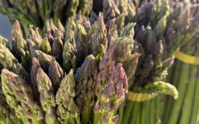 More Hometown Markets Opening Soon!