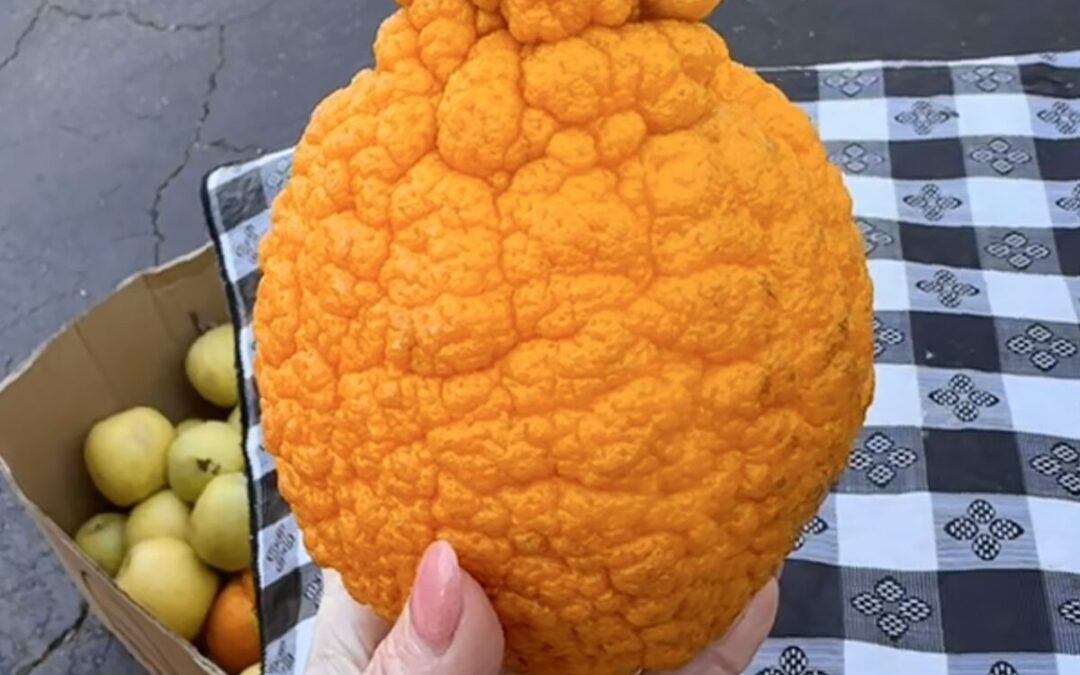 Hometown Market Produce Spotlight