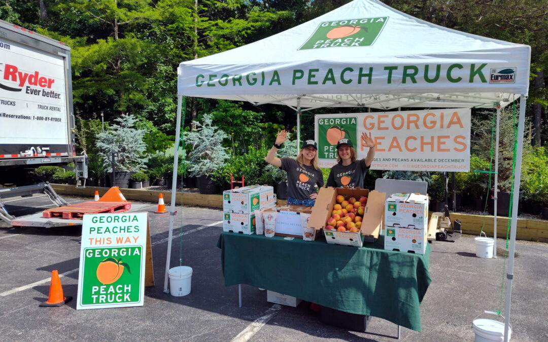 Road Trip Summer 2025 Recap