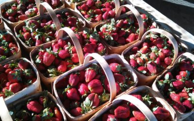 More Hometown Markets Opening Soon!