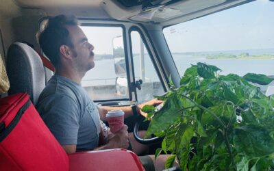 Our Favorite Road Trip Pit Stops: Southeast Edition