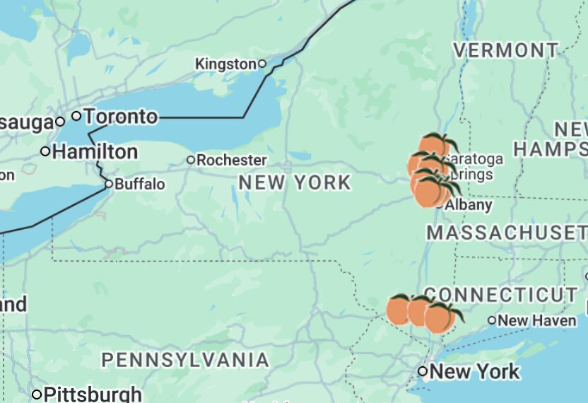Last Taste of Georgia Peaches in New York!