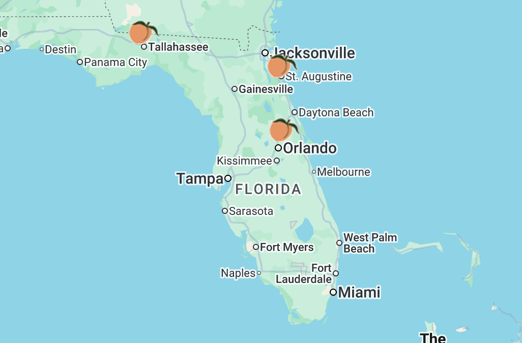 Last Taste of Georgia Peaches in Florida!