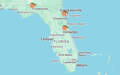 Last Taste of Georgia Peaches in Florida!